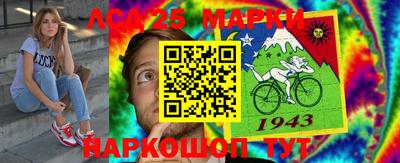 хмурый Камышлов