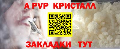 прущие крисы Кингисепп