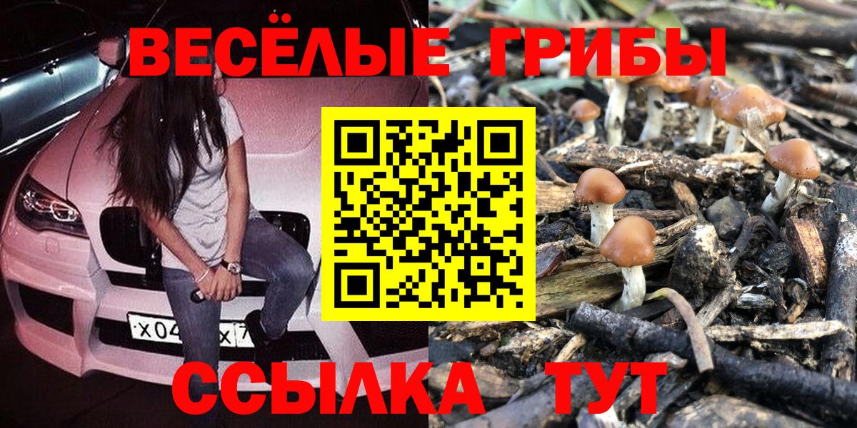 Псилоцибиновые грибы ЛСД Барабинск